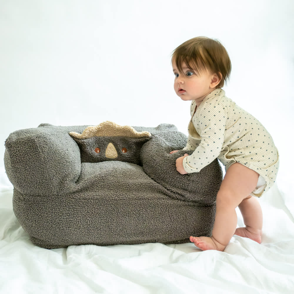 Anja chair - Dino