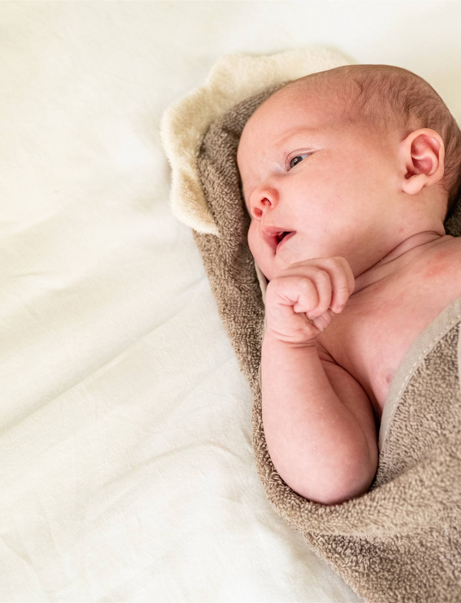 That's Mine Moly towel swaddle - Dino - 100% Organic cotton terry Buy Badetid||Håndklæder||Bolig & udstyr||Alle||Favoritter||personale||alt minus sløjfe||NOOS||mette-sale||Dinosaurtøj & kostumer||Orderly Emails - Recommended Products||Udstyr til badeværelset||All here.