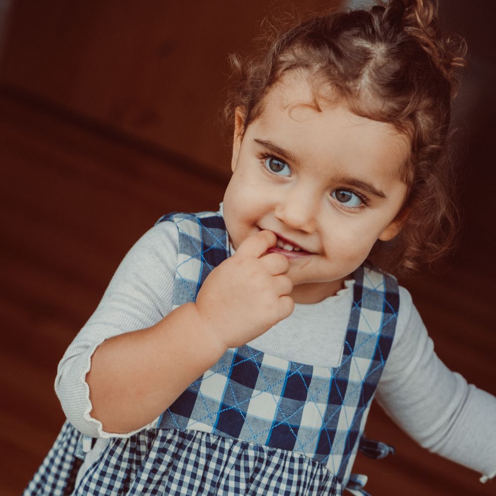 Rosemary dress - Key blue check