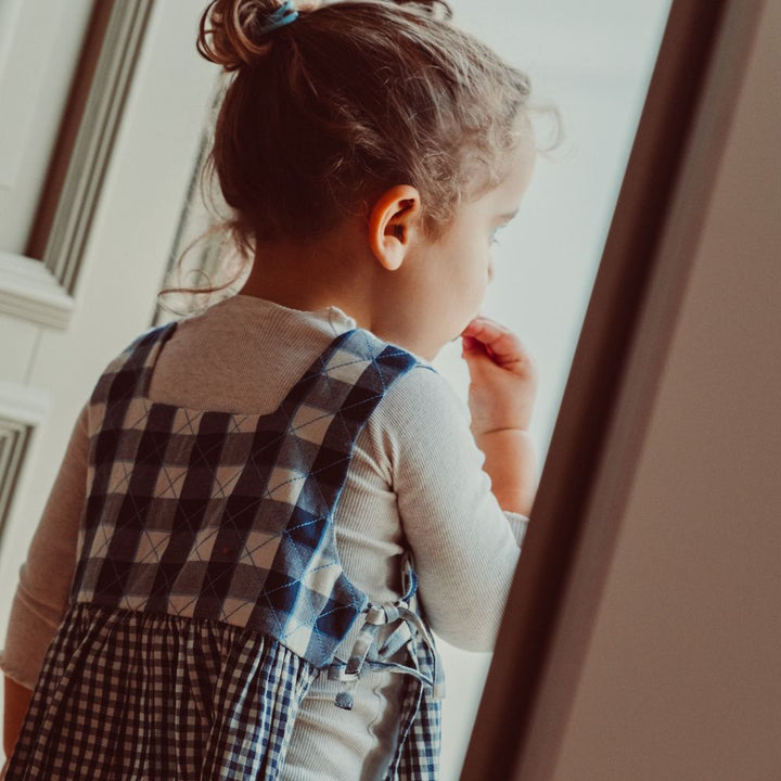 Rosemary dress - Key blue check