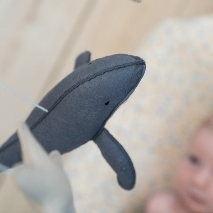 Whale mobile - Multi